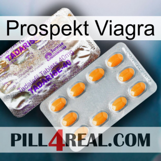 Prospecto Viagra new12